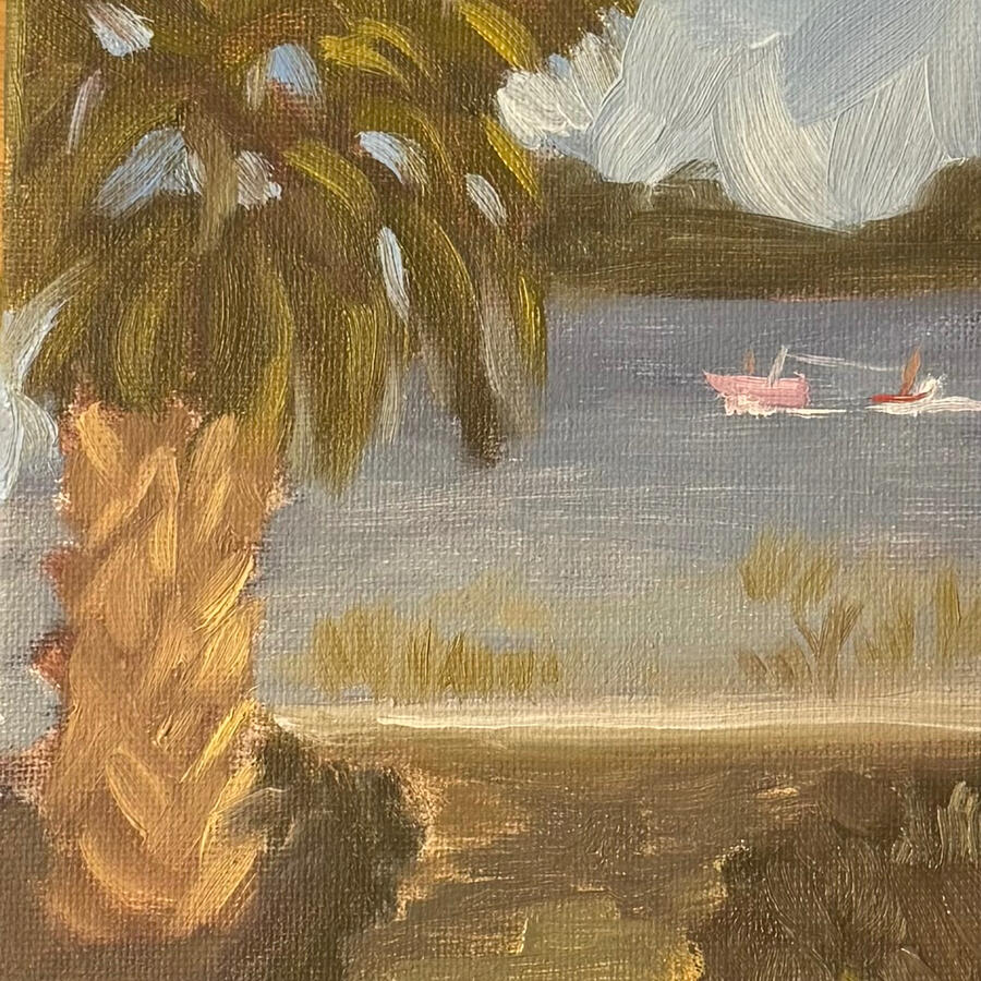 Backyard Water Skiing