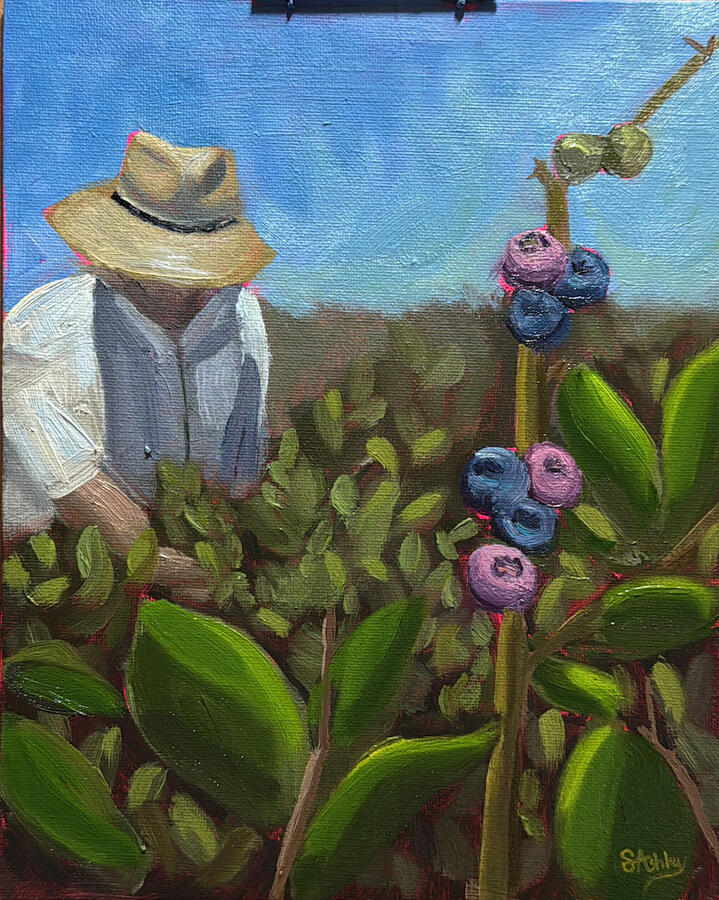 Among the Blueberry Bushes